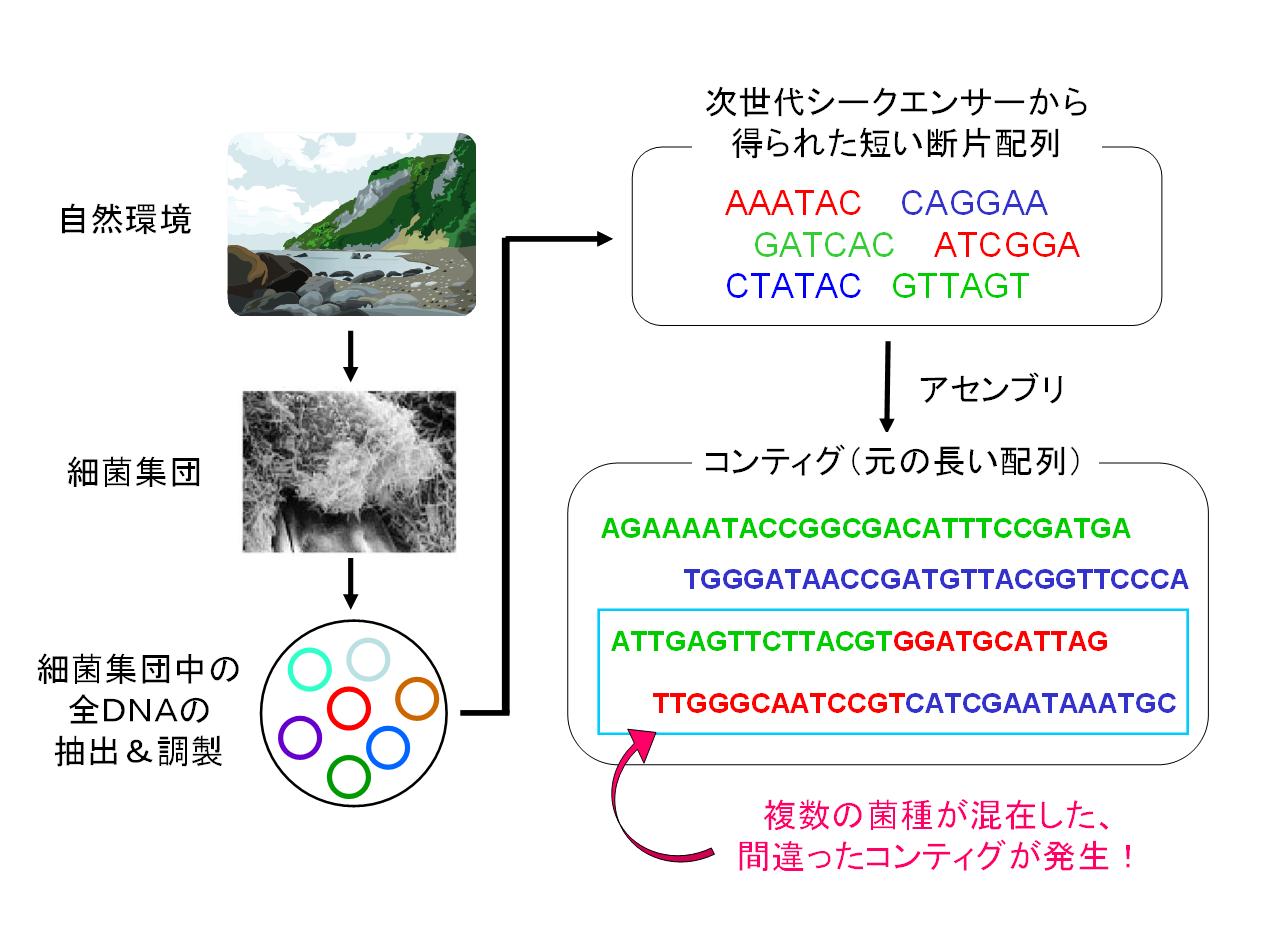 Meta genome analysis